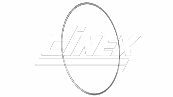 Těsnění, výfuková trubka DINEX 8AL005 Těsnění, výfuková trubka DINEX 8AL005
