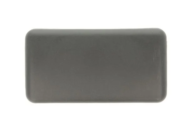 Kryt, vnejsi zrcatko PACOL RVI-MR-017 – OE 5000289392
