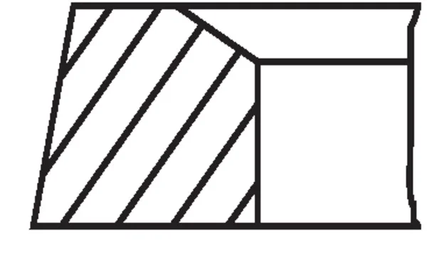 Sada pistnich krouzku MAHLE 50308N0