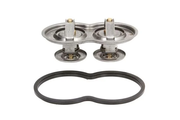 Termostat, chladivo THERMOTEC D2SC001TT