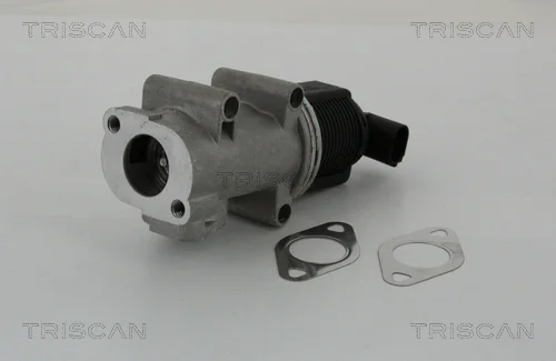 AGR-Ventil TRISCAN 881310005