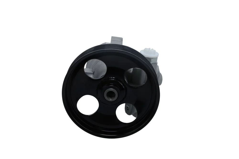Hydraulické čerpadlo, řízení BOSCH KS02000074 – OE 491101206R