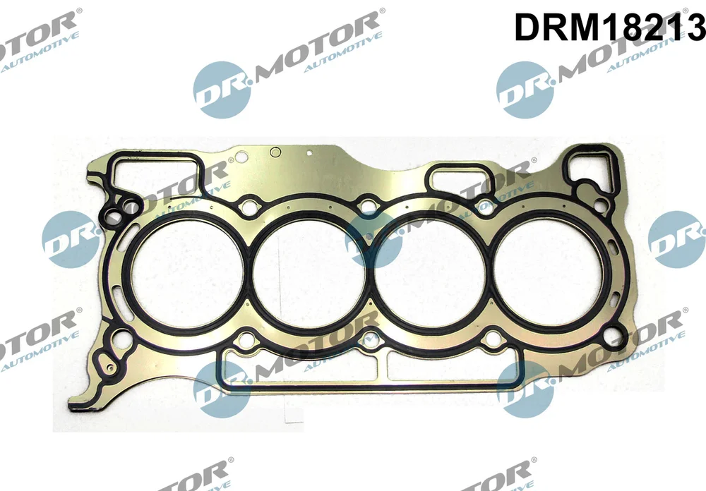 Těsnění, hlava válce Dr.Motor Automotive DRM18213 – OE 110445H60A