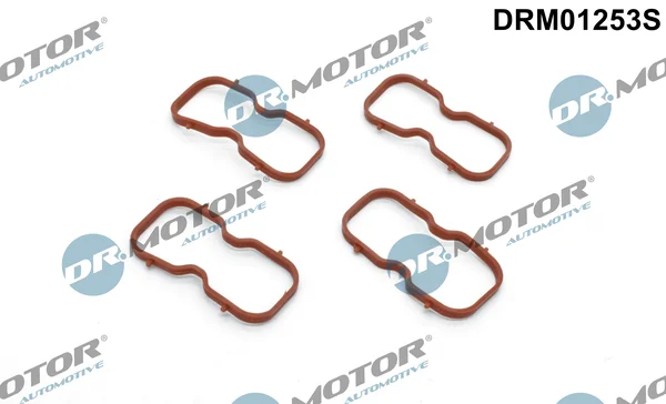Sada těsnění, koleno sacího potrubí Dr.Motor Automotive DRM01253S