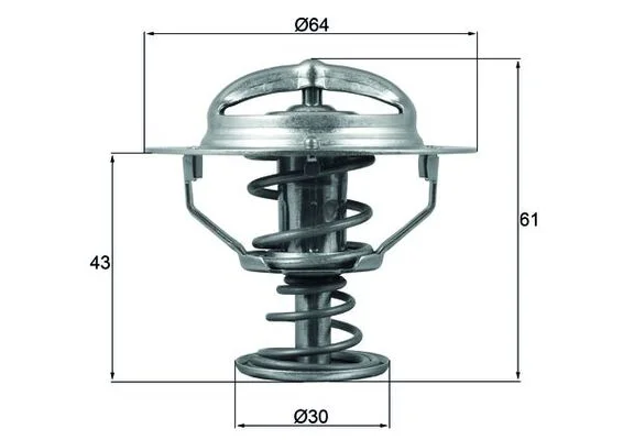 Termostat, chladivo MAHLE TX17878D