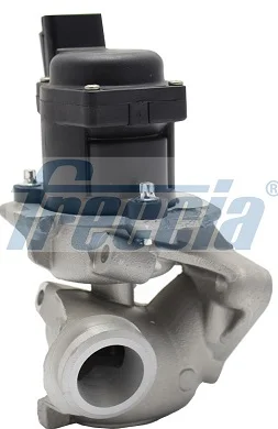 AGR-Ventil FRECCIA EGR12-107